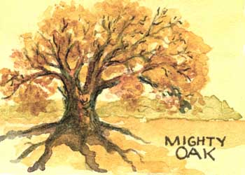 Mighty Oak  Charlotte Olson Merrimac WI watercolor